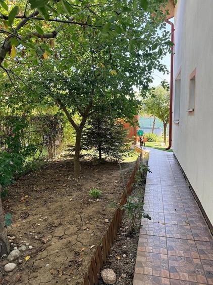 Casă cu 2 camere cu Teren 250 Mp în Vidra
