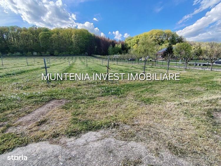 Spațiu comercial, în Albota