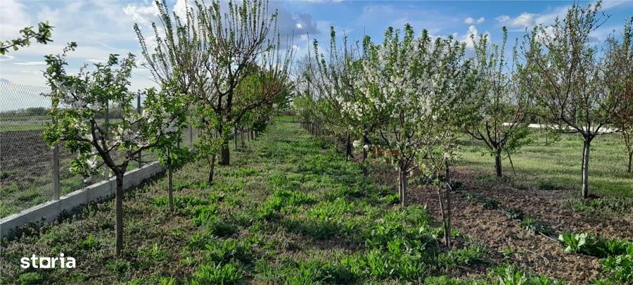 Casă cu 3 camere cu Teren 2350 Mp în Gepiu