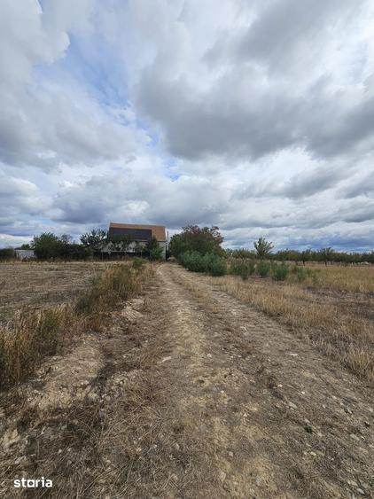 Teren de 2000 mp, în Saca