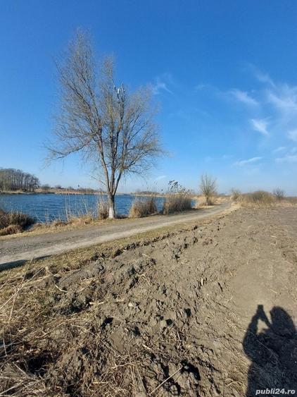 Teren de 2500 mp, în Vânători