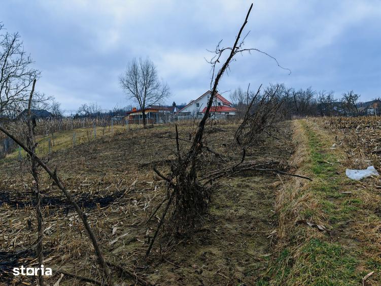 Teren de 3000 mp, în Măgura