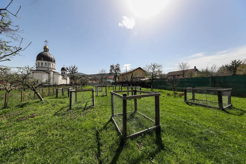 Casă individuală cu 3 camere cu Canalizare în Cristian