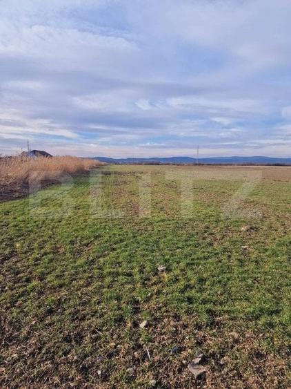Teren Construcții intravilan de 8700 mp, în Nord-Est
