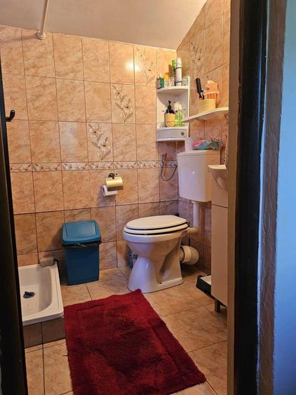 Casă cu 2 camere în Vlăsinești