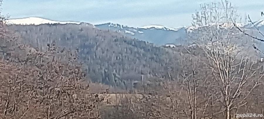 Teren în Albești