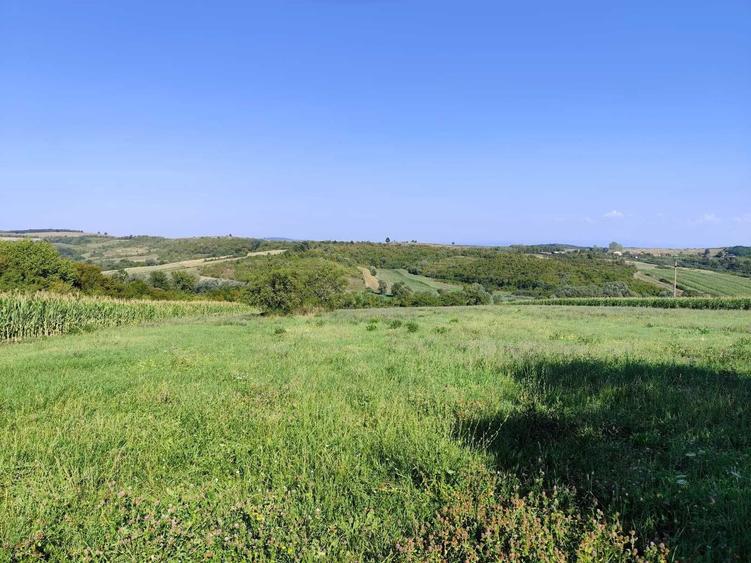 Casă cu 4 camere în Calea Mare