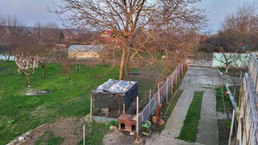 Teren Construcții intravilan de 6000 mp, în Dascălu