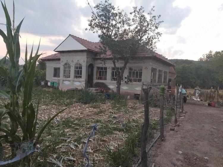 Casă cu Teren 3700 Mp în Verguleasa