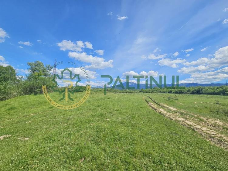 Teren agricol extravilan de 2600 mp, în Racovița