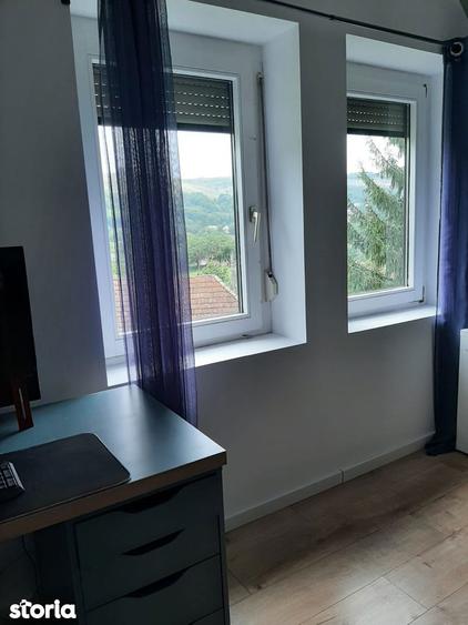2 case pe curte / posibila investitie - 11