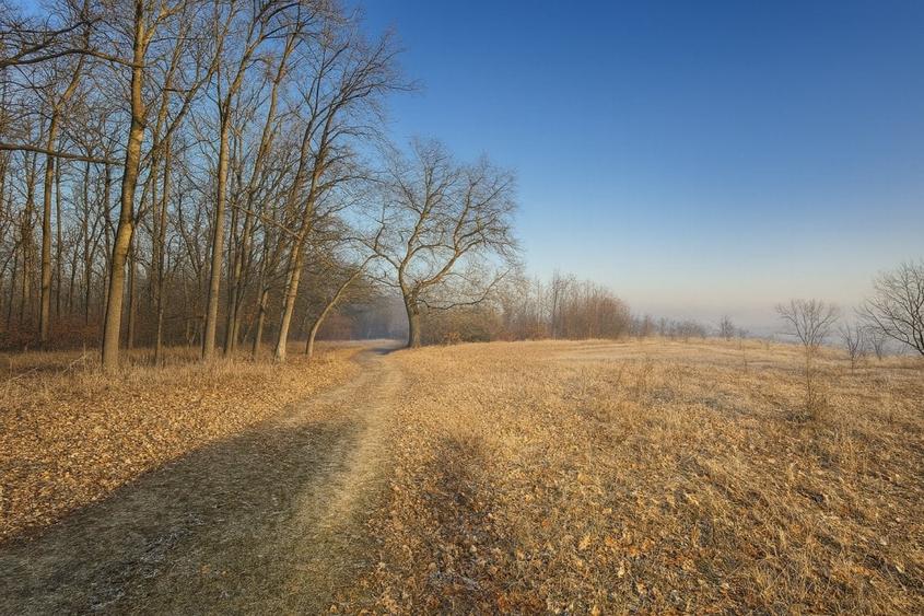 Teren de 7000 mp, în Calea Poplăcii