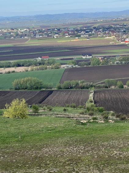 Teren de 7500 mp, în Ipotești