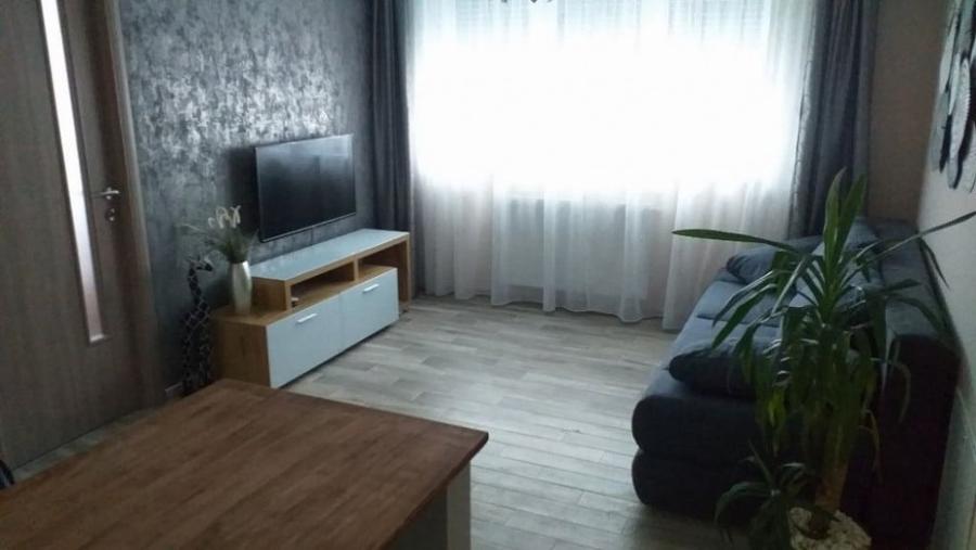 Apartament o camera Soarelui - 2