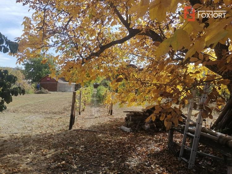 Casă individuală cu 7 camere cu Teren 4316 Mp în Bogda