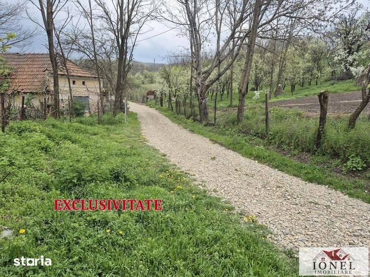 Teren de 1295 mp, în Berghin