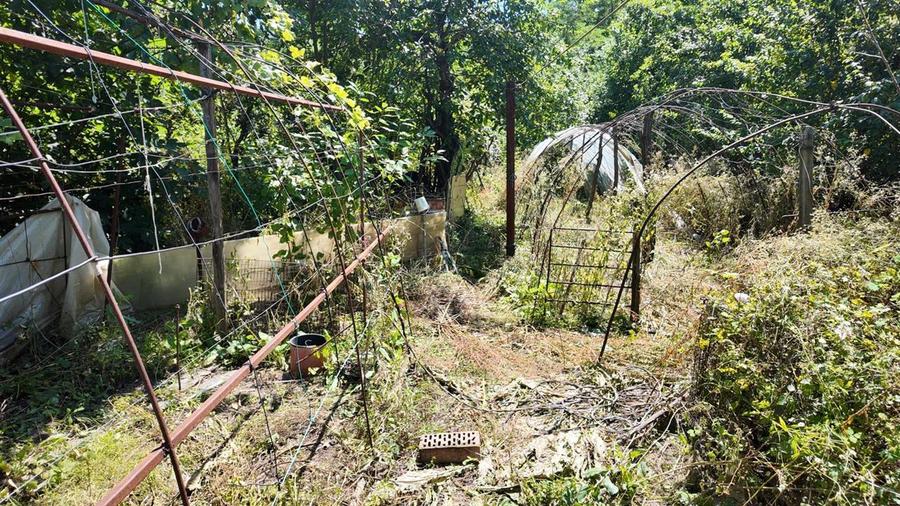 Casă cu 3 camere cu Teren 1300 Mp în Est