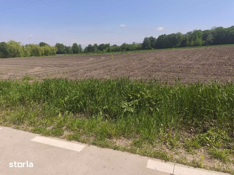 Teren de 6300 mp, în Gălănești
