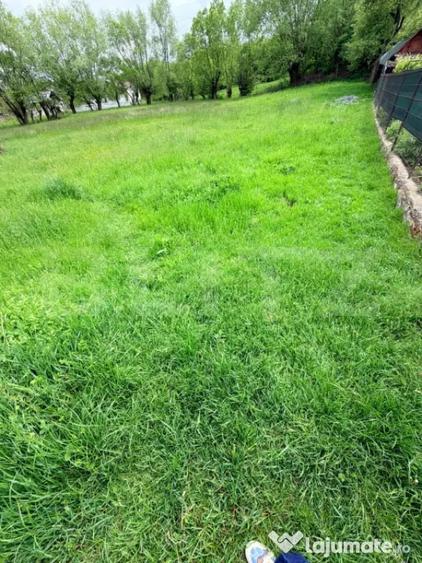 Teren în Tohănița