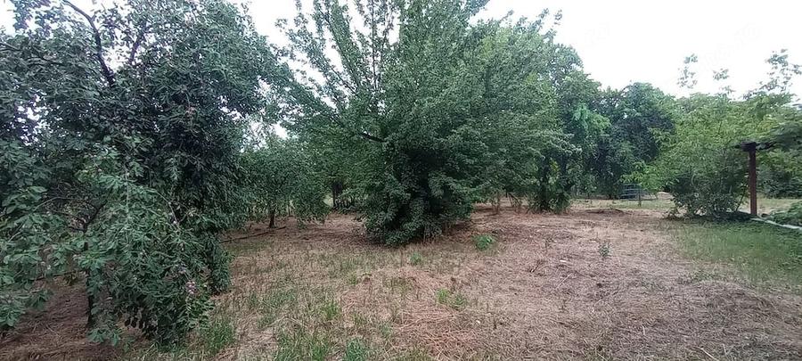 Casă cu 3 camere cu Teren 150 Mp în Gai