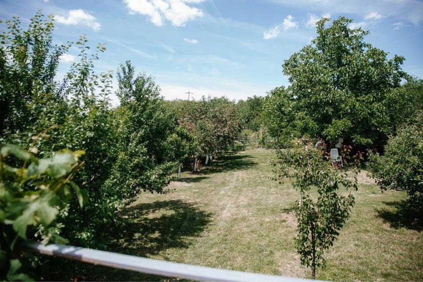 Casă cu 4 camere în Central