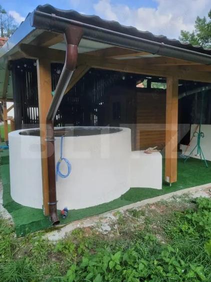 De vanzare casa de 135 mp si 5 hectare de teren, langa Deva - 11