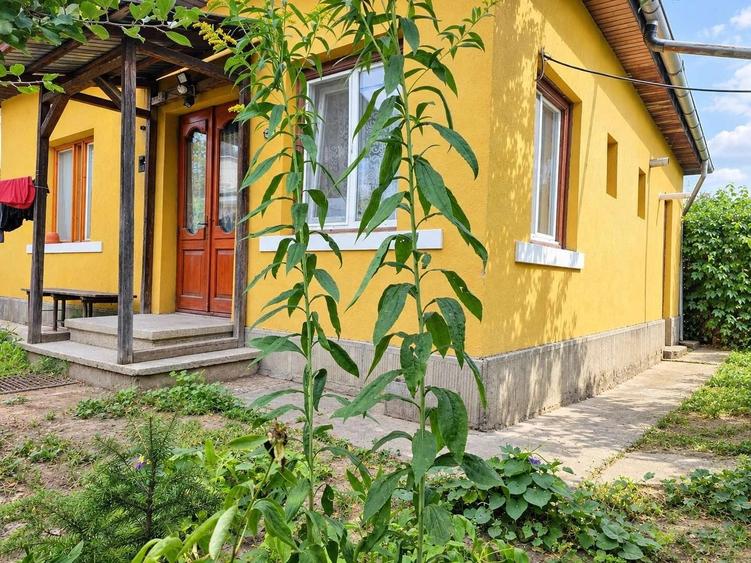 Casă individuală cu 2 camere cu Teren 311 Mp în Centru Civic