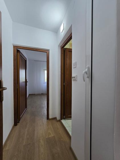 Apartament cu 3 camere în Alexandru cel Bun