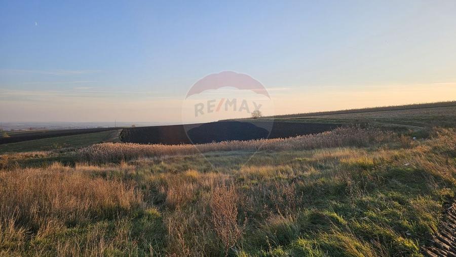 Teren agricol extravilan de 30077 mp, în Stroiești