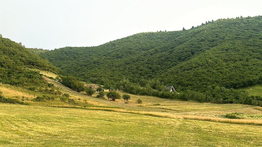 Teren agricol extravilan de 3408 mp, în Gura Râului