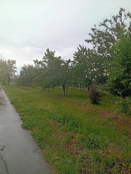 Casă cu Teren 2503 Mp în Central