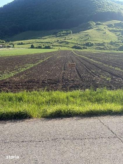 Teren de 2500 mp, în Șieu