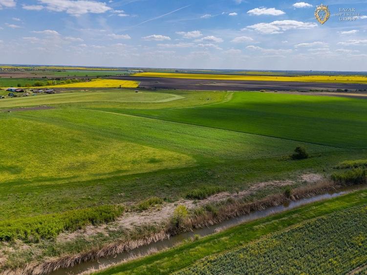 Teren agricol extravilan de 18000 mp, în Turnu