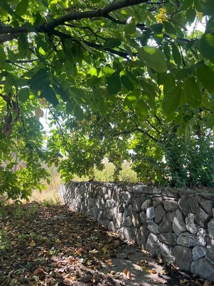 Teren Construcții intravilan de 1300 mp, în Palanca