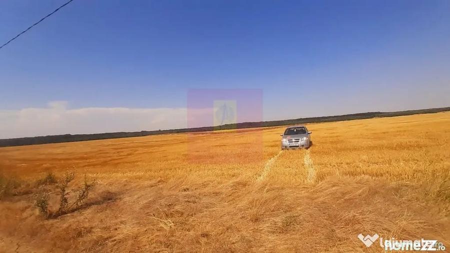 Teren de 2000 mp, în Brănești
