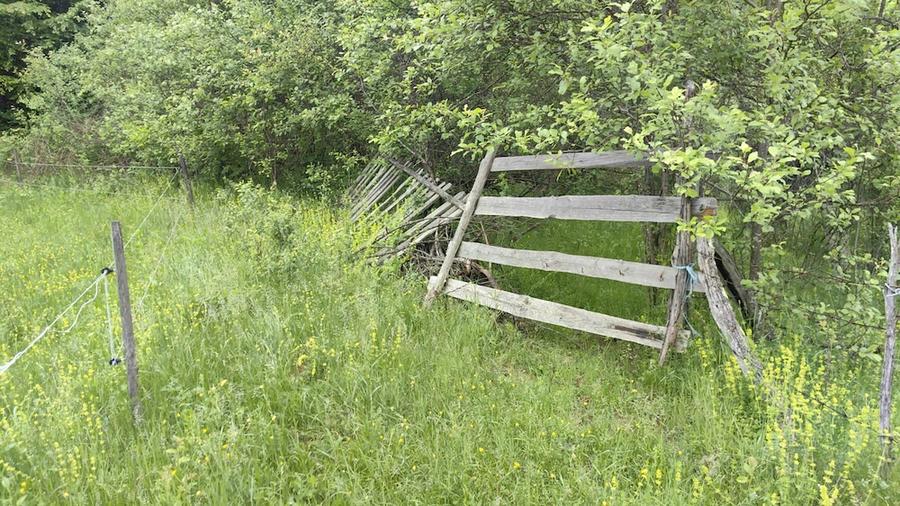 Teren de 844 mp, în Sălătrucel