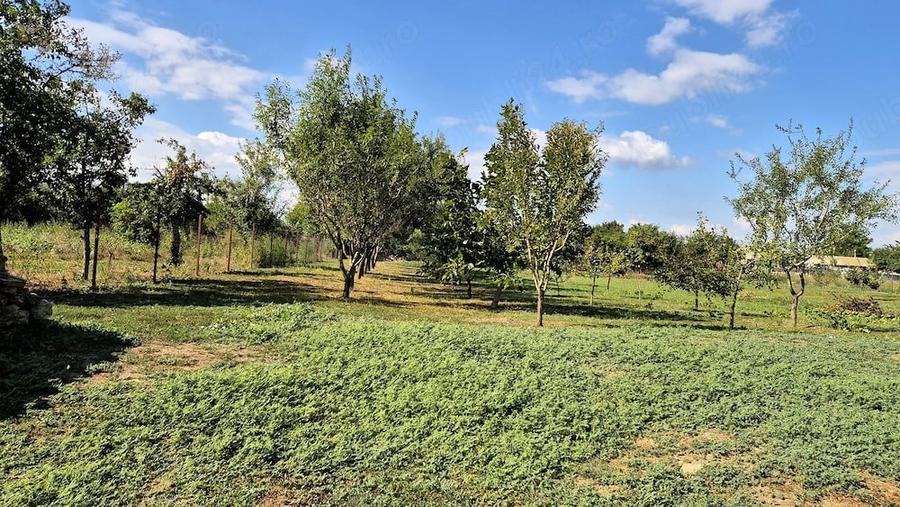 Teren intravilan 1.200+ mp | Livada & Acces privat 7m | Salcioara - Jurilovca - 4