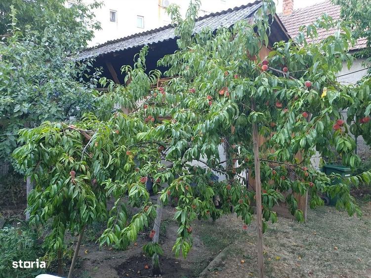 Casă cu 3 camere în Central