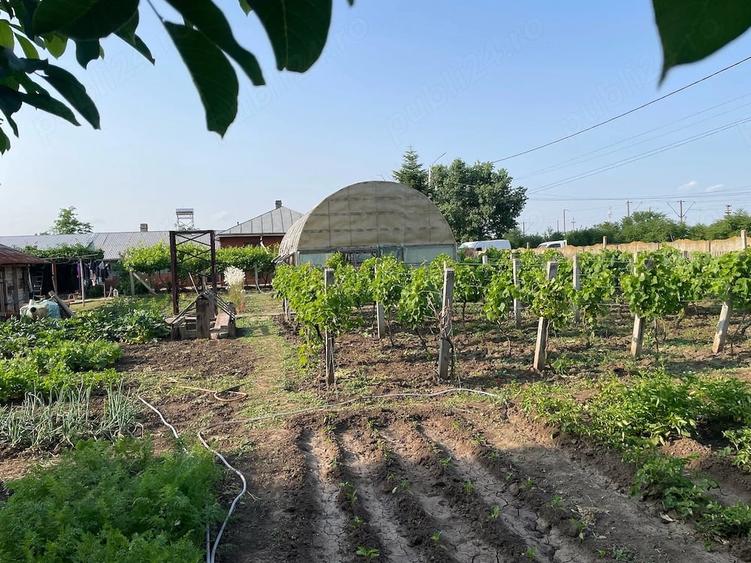 Casă cu 1 camere cu Teren 1000 Mp în Exterior Vest