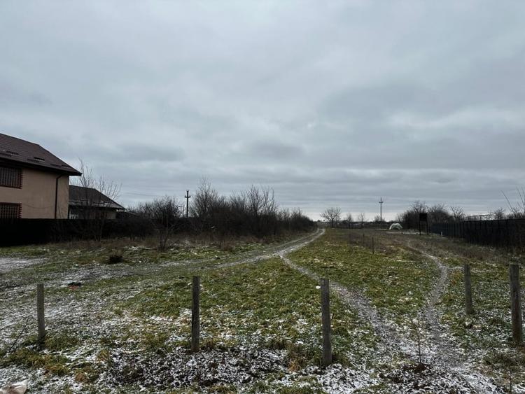 Teren Construcții intravilan de 10000 mp, în Coșoveni