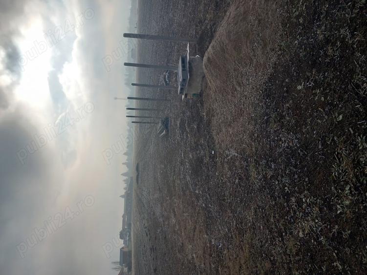 Teren de 1600 mp, în Central