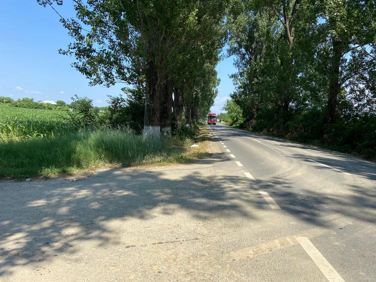 Teren Construcții intravilan de 5000 mp, în Siliștea Snagovului