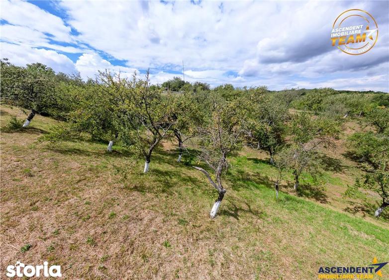 Teren de 4500 mp, în Ilieni