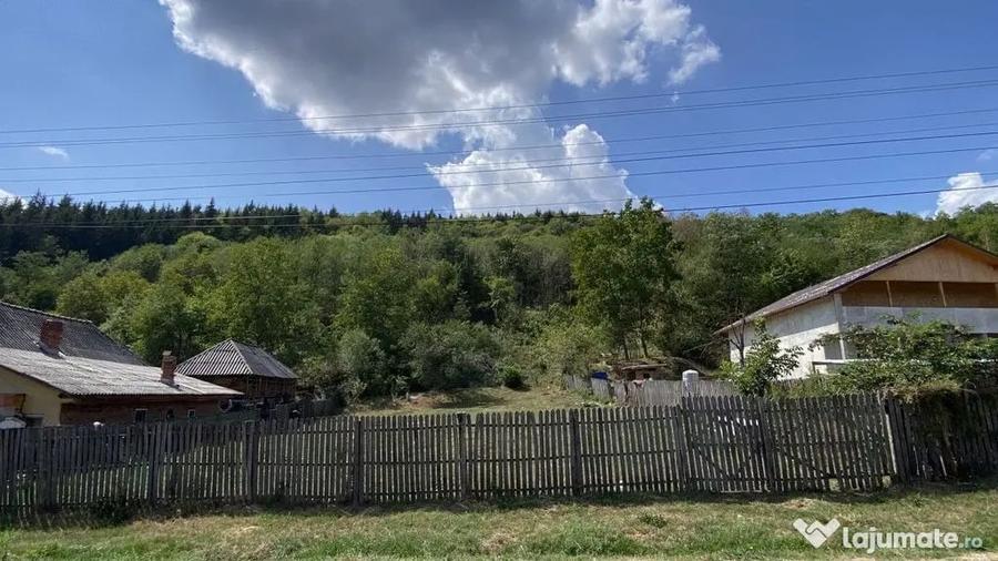 Teren 4000 mp intravilan loc. Aninoasa, jud Arges. Comisi... - 6