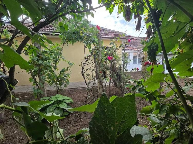 Casă cu 3 camere cu Teren 200 Mp în Central