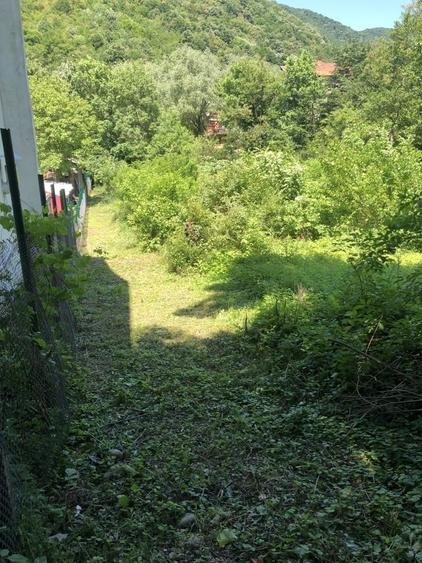 Teren de 4135 mp, în Băile Herculane