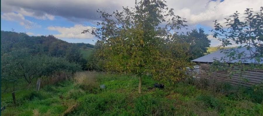 Casă cu 2 camere în Ceișoara
