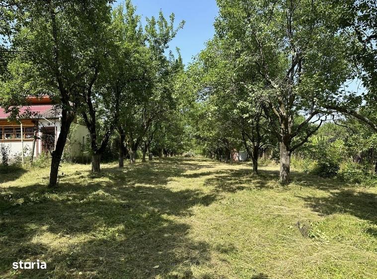 Teren Intravilan Cu Utilitati Tocile Str Stejarului Panorama Deosebita - 6