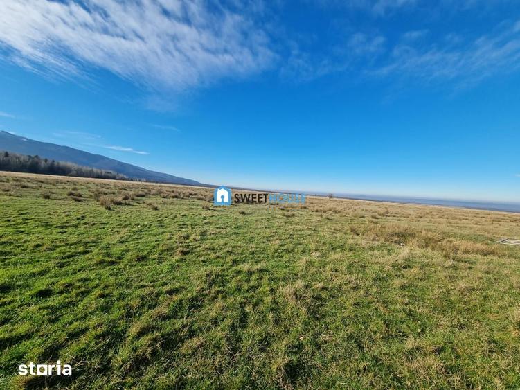 Teren de 22790 mp, în Recea