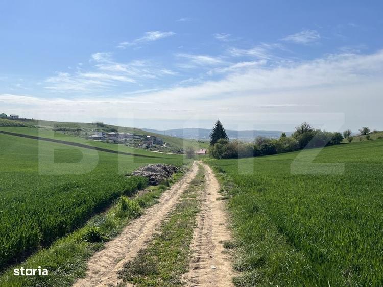 Teren generos 15.900 mp (intravilan + extravilan) in Sancraiu de Mures - 2